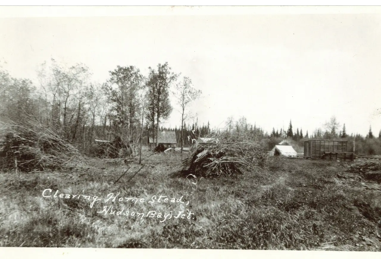 Clearing a homestead at Hudson Bay Junction, about 1920s
