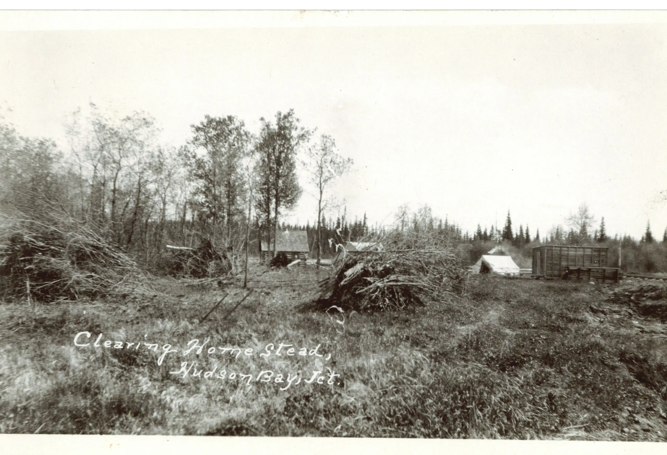 Clearing a homestead at Hudson Bay Junction