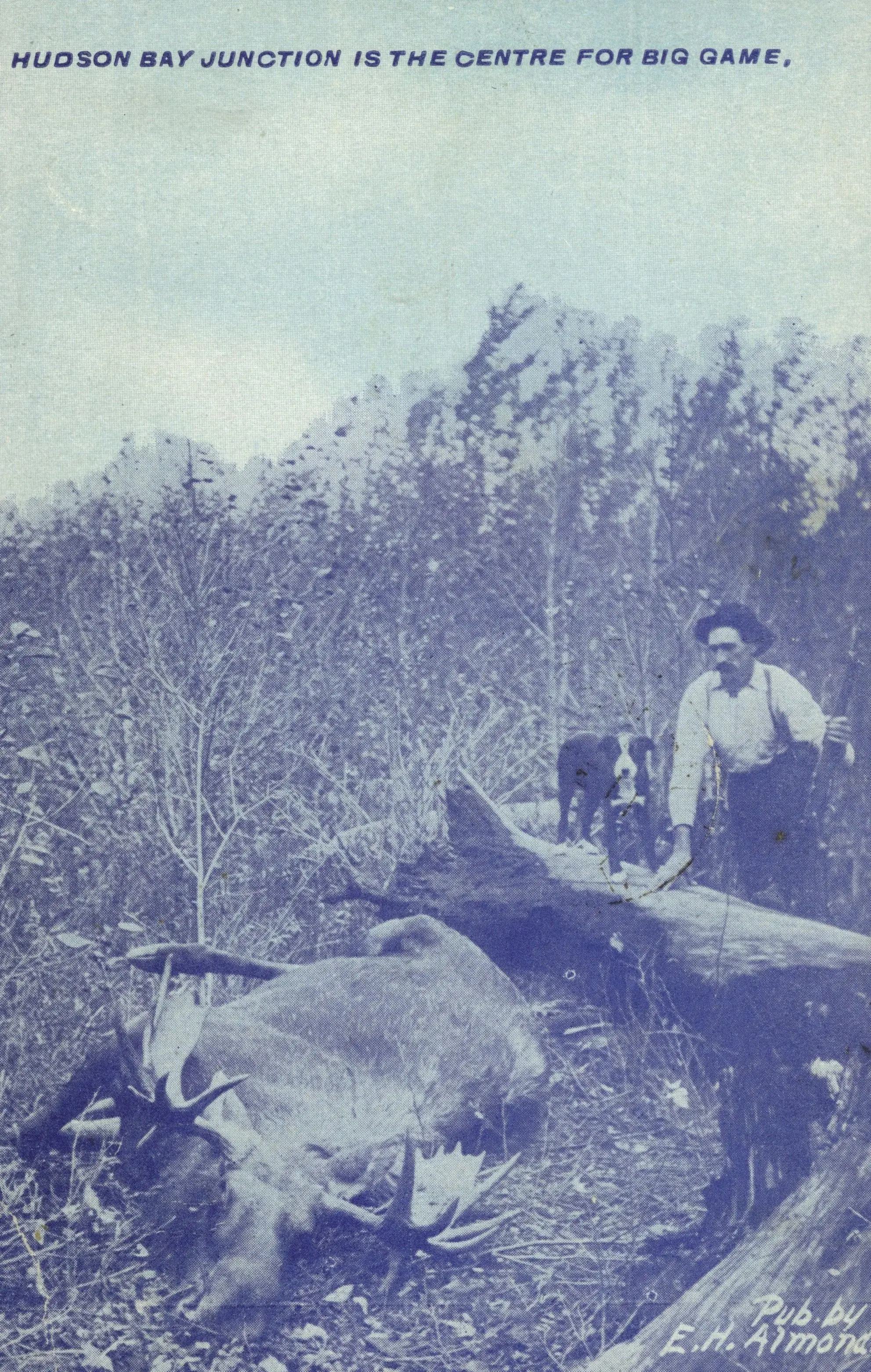 Hunter with a moose near Hudson Bay Junction