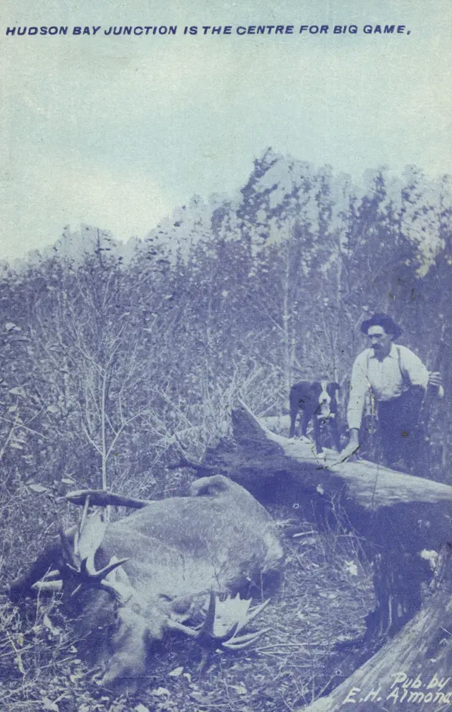 Hunter with a moose near Hudson Bay Junction